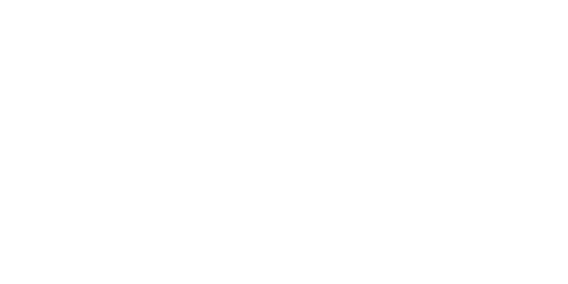 TOYVERSE Logo